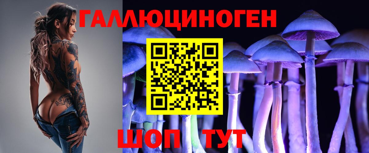 Псилоцибиновые грибы Cubensis  Вход с VPN  Красноармейск 